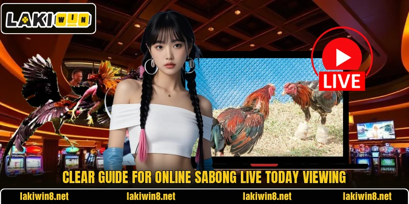 Clear guide for Online sabong live today viewing Clear guide for Online sabong live today viewing