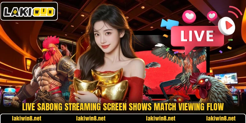 Live sabong streaming screen shows match viewing flow