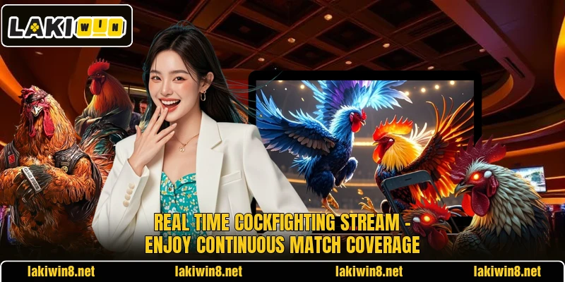 Real Time Cockfighting Stream – Enjoy Continuous Match Coverage